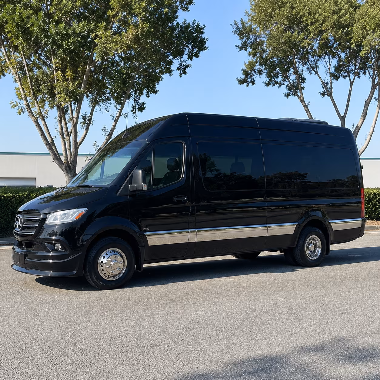 merced birthday party transportation